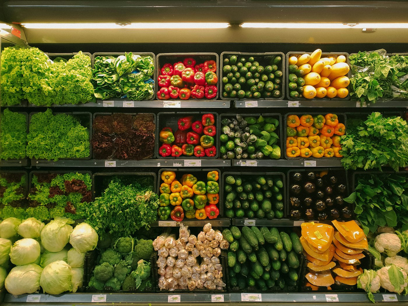 Food Products