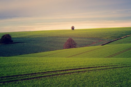 Agricultural and Animal Equipment