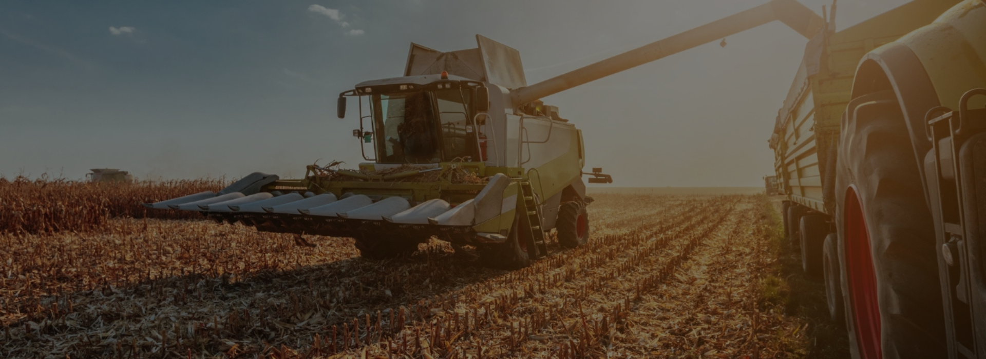 Agricultural and Animal Equipment